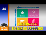 A Matriz BCG e o Mix de Produtos