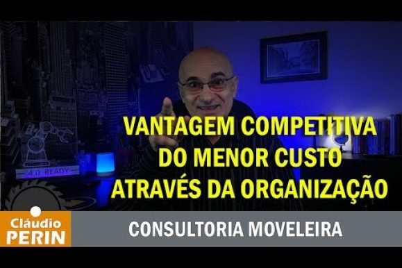 A Vantagem Competitiva pelo Menor Custo através da Organização
