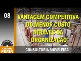 A Vantagem Competitiva pelo Menor Custo através da Organização
