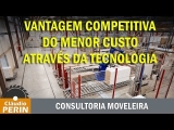 A Vantagem Competitiva pelo Menor Custo através da Tecnologia