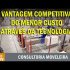 A Vantagem Competitiva pelo Menor Custo através da Organização